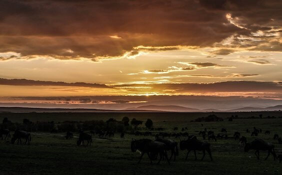 masai mara reserve coucher de soleil kenya afrique monplanvoyage