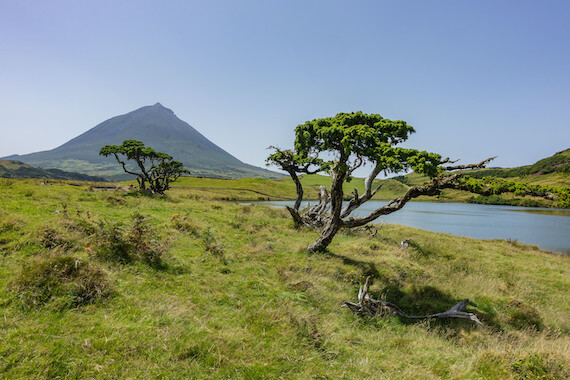 pico lac randonnee nature archipel portugal acores monplanvoyage