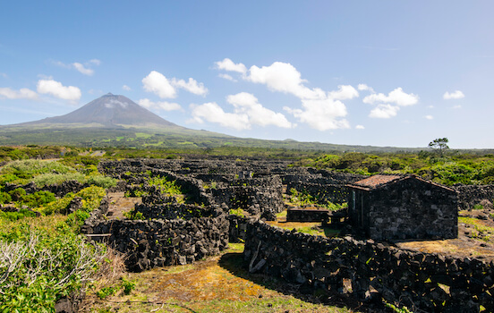 pico volcan nature vin archipel portugal acores monplanvoyage