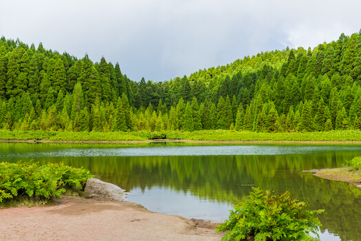 sao miguel lac nature foret randonnee ile archipel portugal monplanvoyage