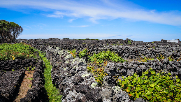 terceira volcan carvao geologie nature archipel portugal acores monplanvoyage