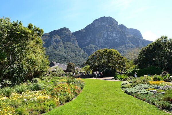 cape town jardin fleur afrique du sud monplanvoyage