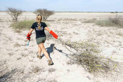 safari kalahari flore afrique du sud monplanvoyage