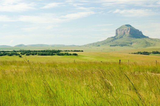 afrique du sud steppe champ monplanvoyage