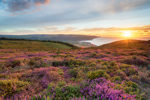 exmoor parc nature cote mer vue angleterre royaume uni monplanvoyage