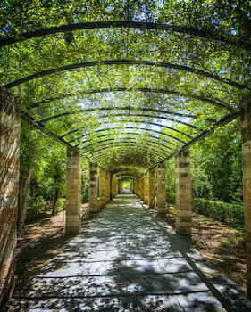 athenes jardin nature detente grece monplanvoyage