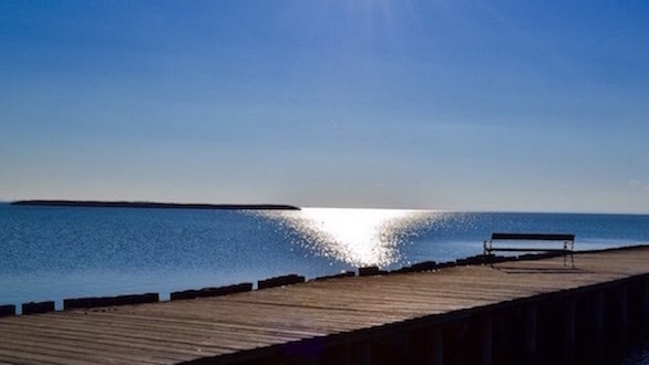 neusiedler lac nature autriche monplanvoyage