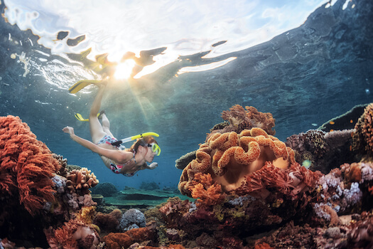bali pemuteran plongee corail marin snorkeling indonesie monplanvoyage