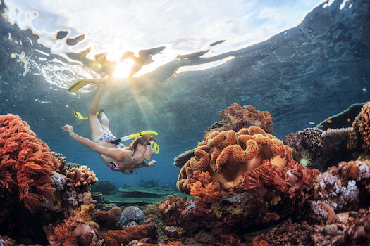 bali pemuteran plongee corail marin snorkeling indonesie monplanvoyage