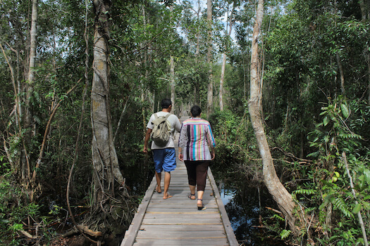 borneo camp leakey centre orang outang singe faune monplanvoyage