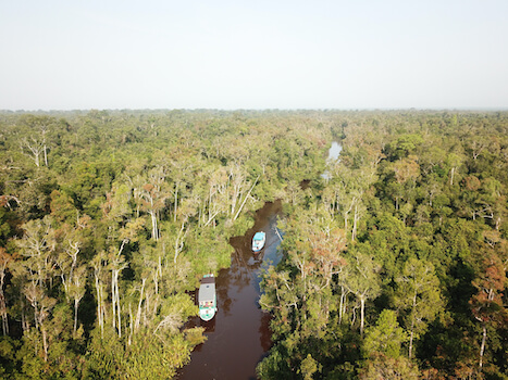 borneo parc bateau nature riviere foret jungle monplanvoyage