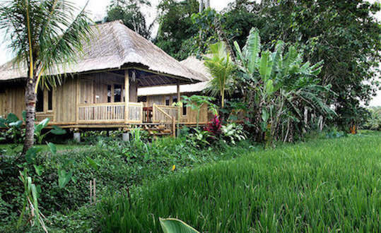 umabian bali hotel chambre indonesie monplanvoyage