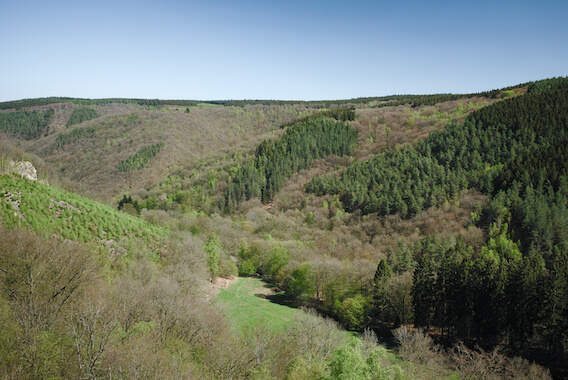 ninglinspo vallee nature randonnee foret belgique monplanvoyage