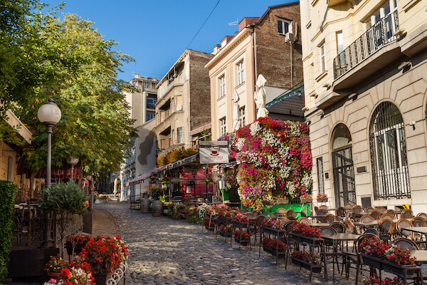 Belgrade rue fleur capitale serbie