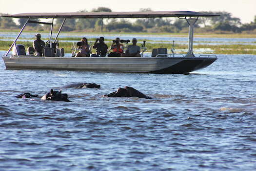 kasane bateau fleuve chobe faune nature botswana monplanvoyage