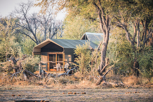 maun lodge camp flore hebergement nature botswana monplanvoyage