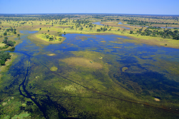 moremi reserve nature riviere marais foret botswana monplanvoyage