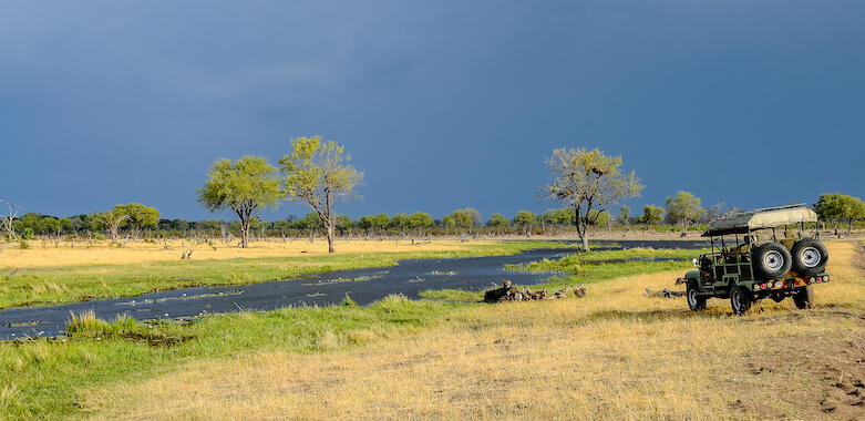 savuti reserve flore prairie paysage botswana monplanvoyage