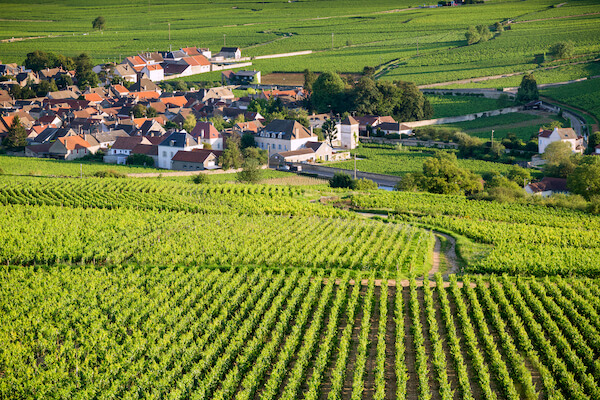 bourgogne cote beaune vin vignoble degustation cru monplanvoyage