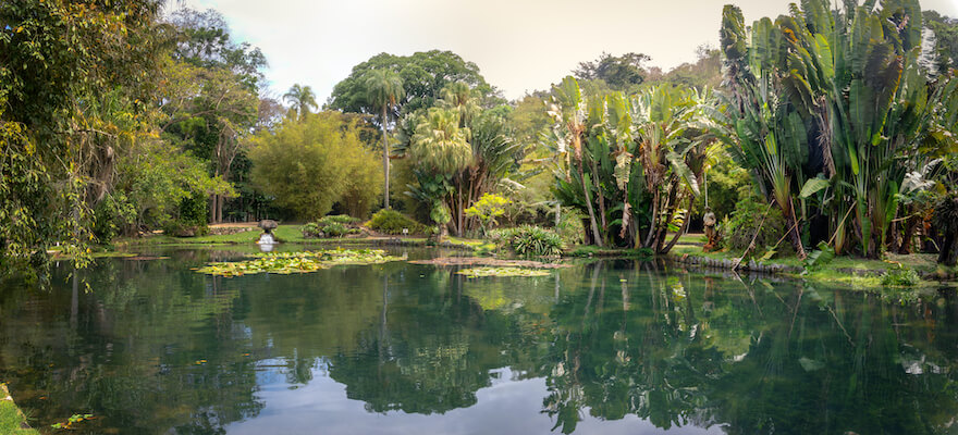 rio de janeiro jardin lac nature bresil monplanvoyage