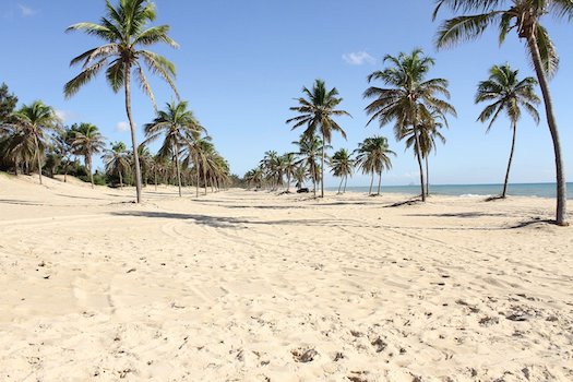 bresil nordeste ceara plage palmier noce mariage monplanvoyage