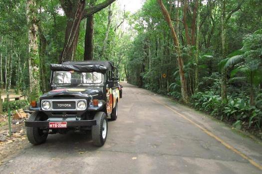 foret tijuca 4 4 voiture nature rio bresil agence monplanvoyage