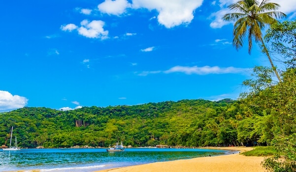 ilha grande ile plage palmier mer rio bresil agence monplanvoyage