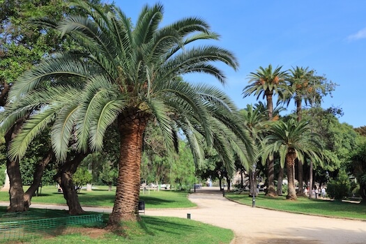 barcelone parc ciutadella nature catalogne monplanvoyage