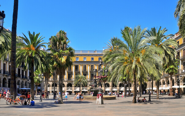 barcelone place catalogne palmier catalogne monplanvoyage