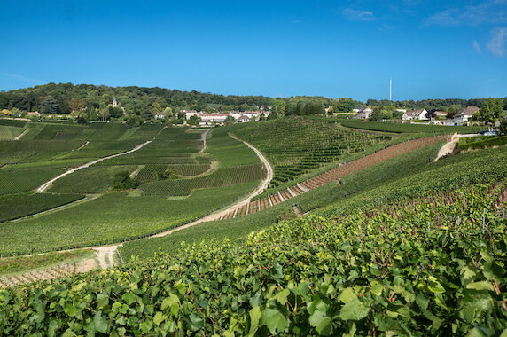 champagne village vigne vin cave degustation france monplanvoyage