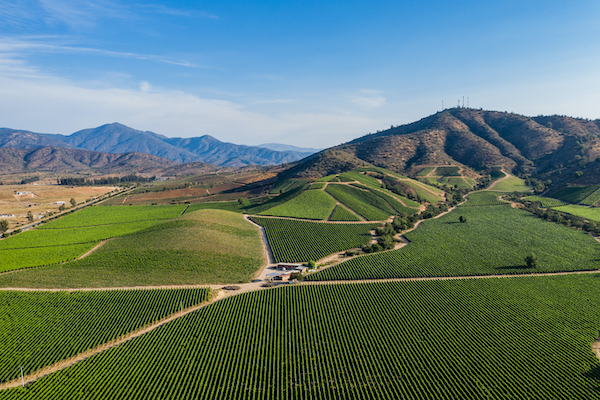 vallee centrale chili vin vignoble oenologie degustation monplanvoyage