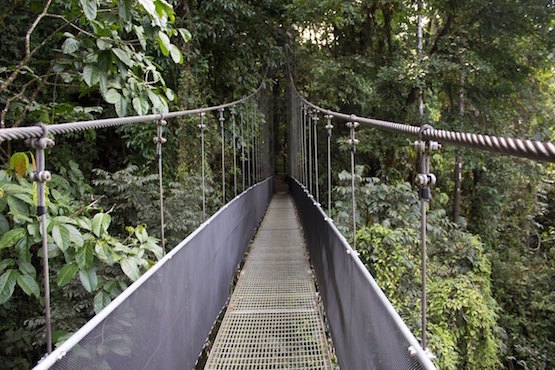 costa rica monteverde pont nature foret monplanvoyage 