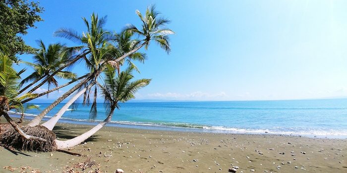 costa rica plage palmier monplanvoyage