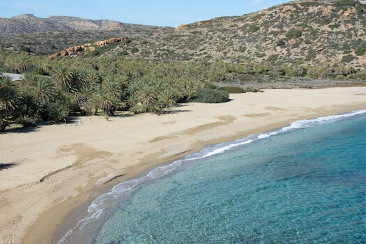 vai palmeraie culture nature crete monplanvoyage