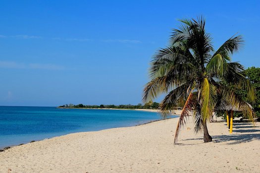 cuba plage sable cocotier caraibes monplanvoyage