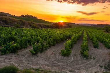 briones vignoble vin balade oenotourisme la rioja espagne monplanvoyage
