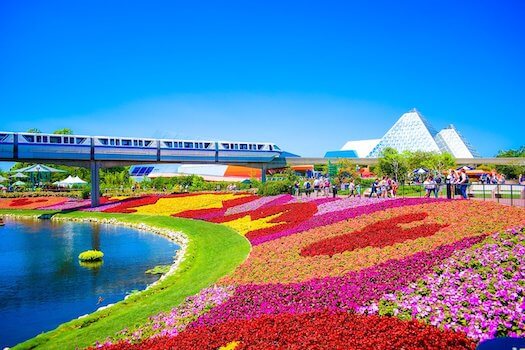 orlando parc fleur floride etats unis monplanvoyage