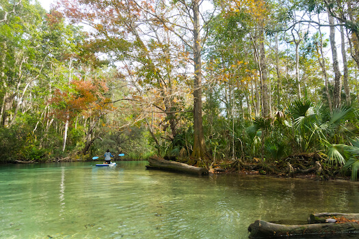 weeki wachee mangrove parc floride canoe etats unis monplanvoyage