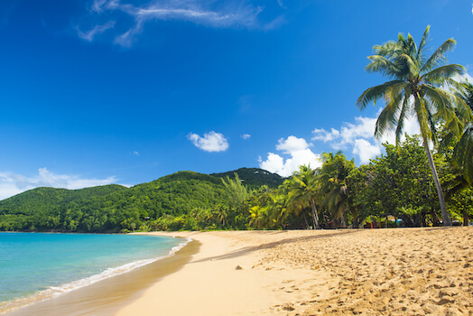 deshaies plage sable cocotier basse terre guadeloupe caraibes monplanvoyage