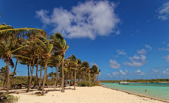 petite terre plage sable cocotier ile guadeloupe caraibes monplanvoyage