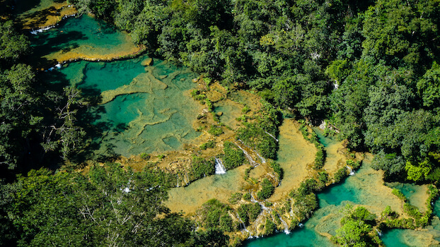 semuc champey parc nature faune foret cascade guatemala monplanvoyage