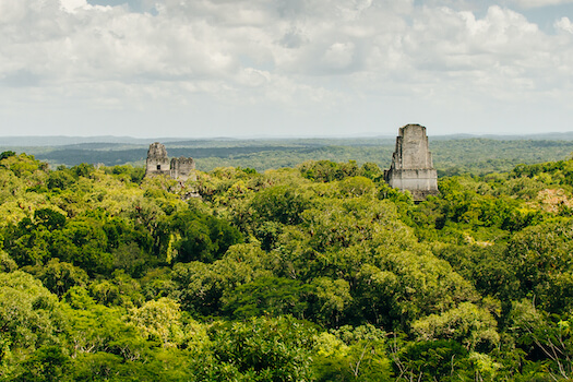 tikal nature foret culture maya temple guatemala monplanvoyage