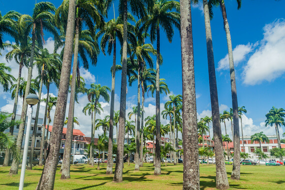 cayenne place cocotier guyane monplanvoyage