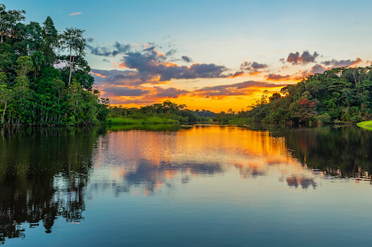 guyane fleuve amazonie nature foret tropical monplanvoyage