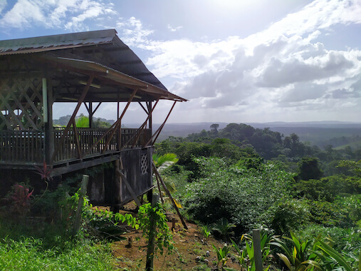 guyane nature foret randonnee maison hmong monplanvoyage