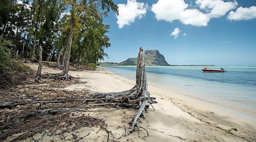 ile maurice benitiers monplanvoyage