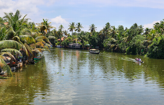 allepey bateau houseboat croisiere palmier nature kerala inde monplanvoyage