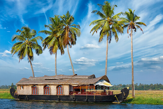 allepey houseboat nature croisiere kerala inde monplanvoyage