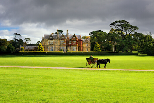 killarney muckross chateau jardin parc cheval balade nature irlande monplanvoyage