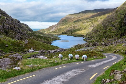 killarney parc nature lac mouton randonne irlande monplanvoyage